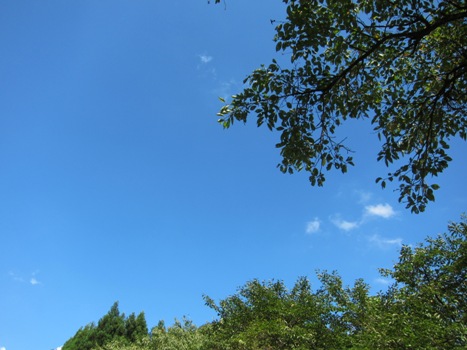 e0056411_094050.jpg