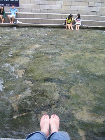 c0054118_13182792.jpg