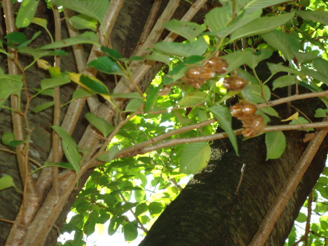 c0150520_23321863.jpg
