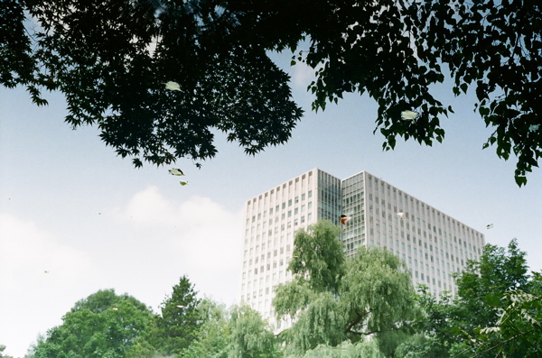 f0182924_20262062.jpg