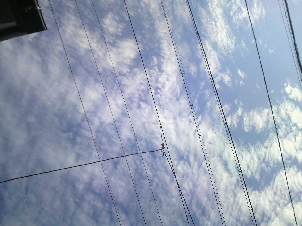 e0024126_9205841.jpg