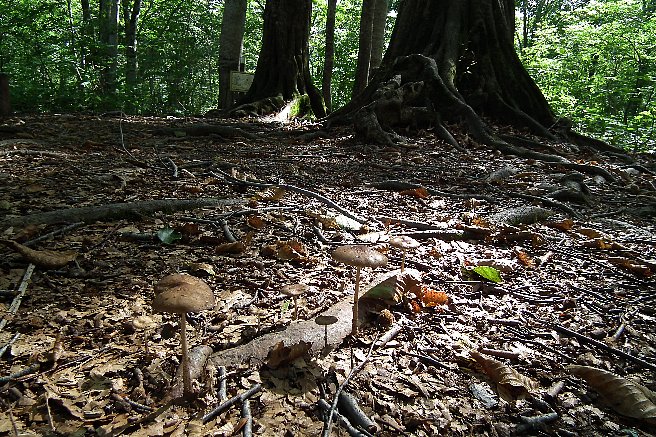 f0118332_0101385.jpg