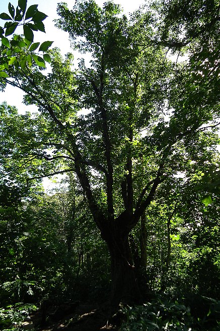 f0118332_0102245.jpg