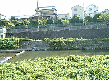 b0174137_21301258.jpg