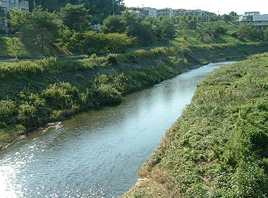 b0174137_21332169.jpg
