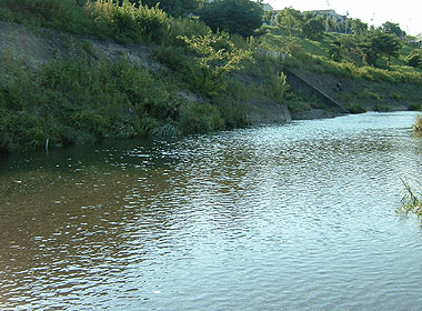 b0174137_2135262.jpg