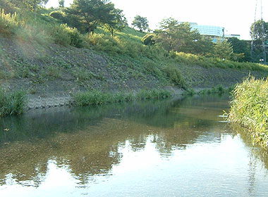 b0174137_21382655.jpg