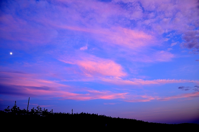 e0055138_22474328.jpg