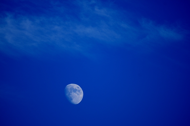 e0055138_22593337.jpg