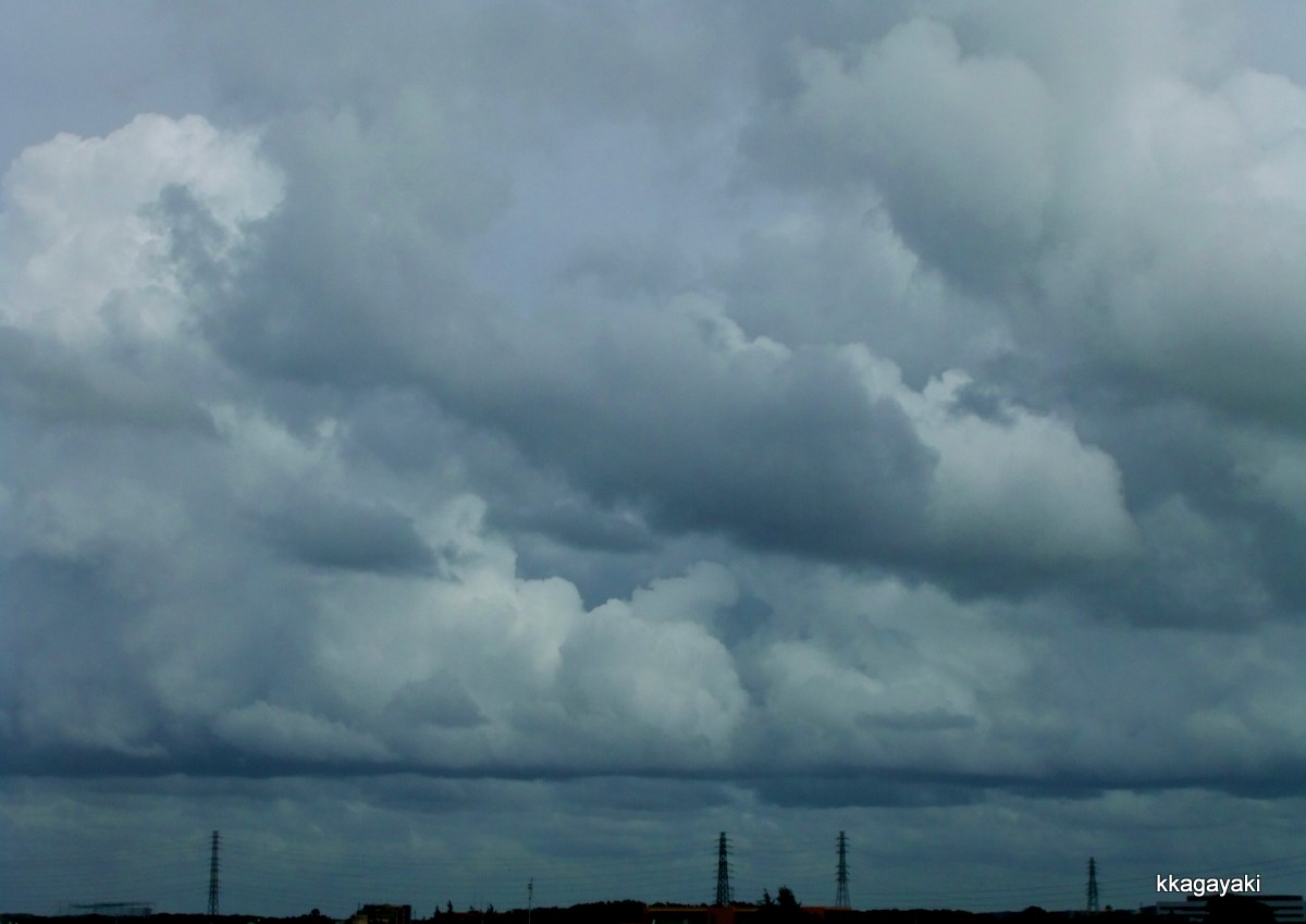 e0206242_22531067.jpg