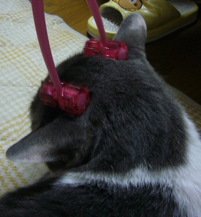 f0002743_19463357.jpg