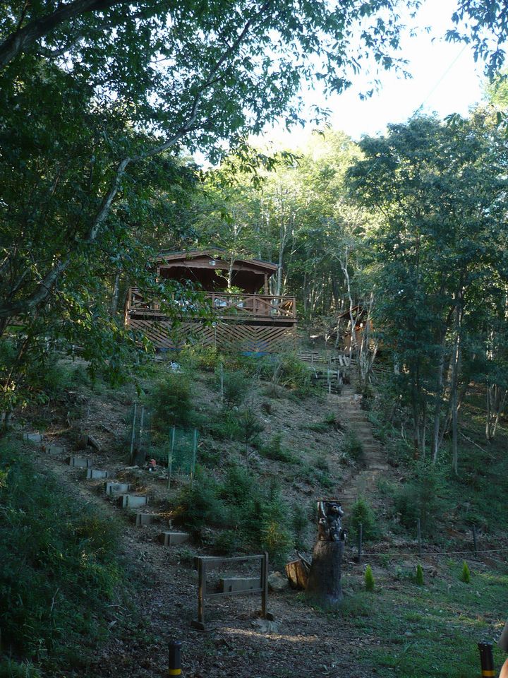 f0090444_22292594.jpg