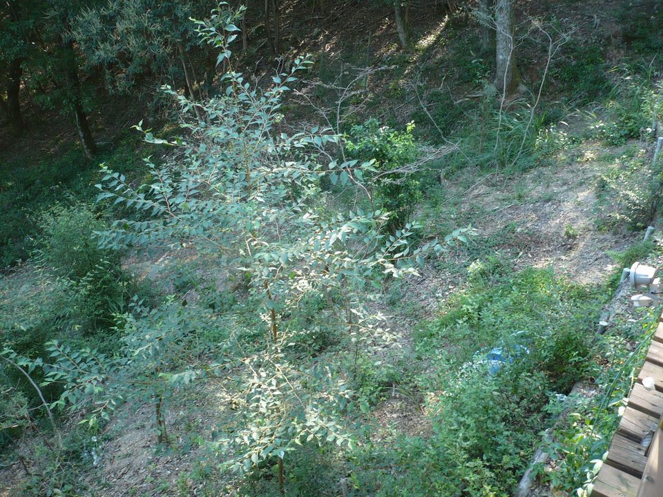 f0090444_22322452.jpg