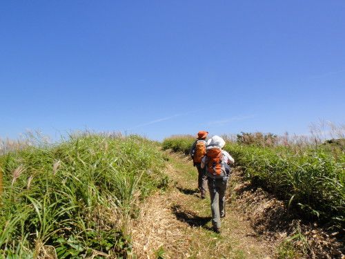 c0179351_1016451.jpg