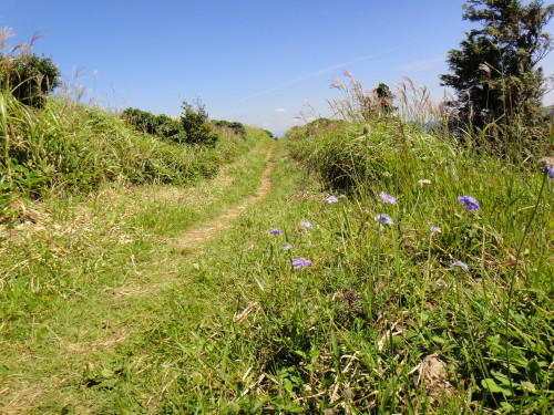 c0179351_10221877.jpg