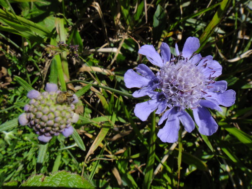 c0179351_10224381.jpg