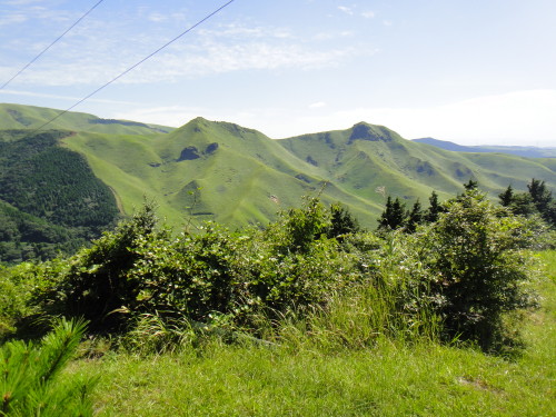 c0179351_10265334.jpg