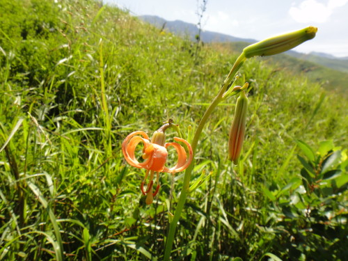 c0179351_9225765.jpg