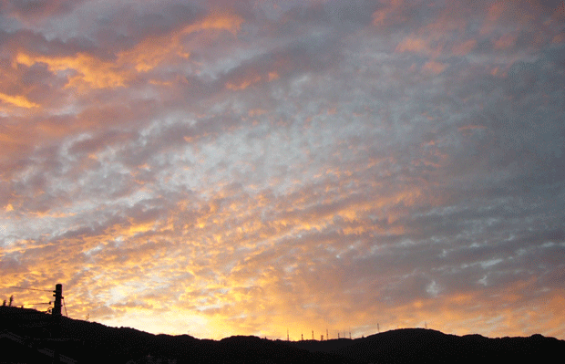 c0225153_7291362.gif