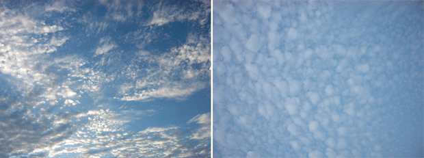 c0225153_7301673.gif
