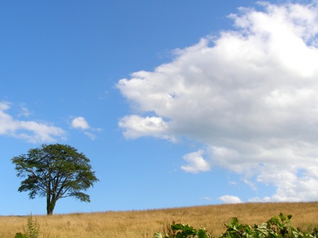 b0086858_13293167.jpg