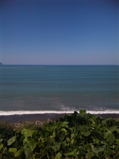 c0142576_1154978.jpg