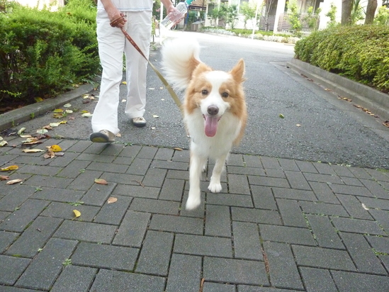 e0207477_926663.jpg