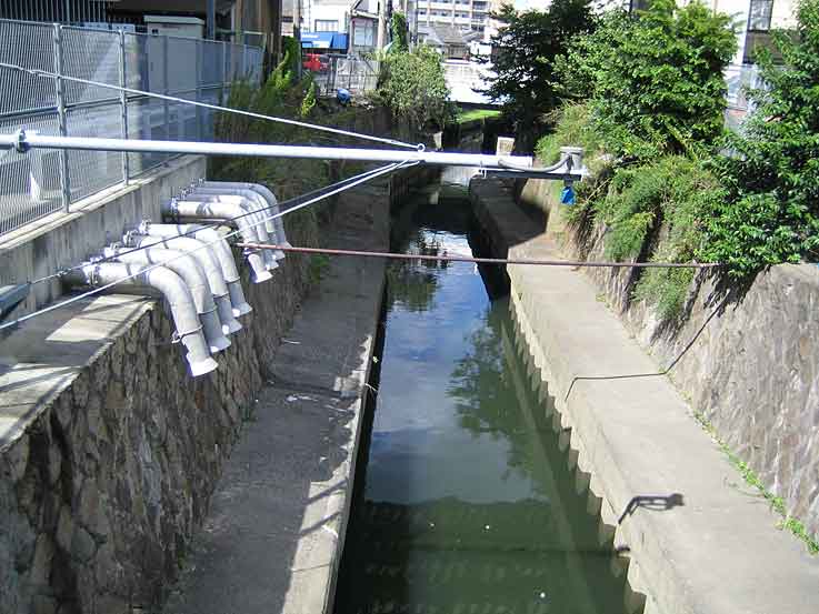 b0057679_8445939.jpg