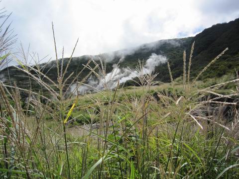 c0218879_1963849.jpg