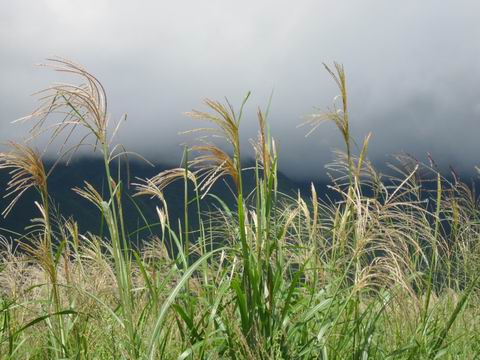 c0218879_20171023.jpg
