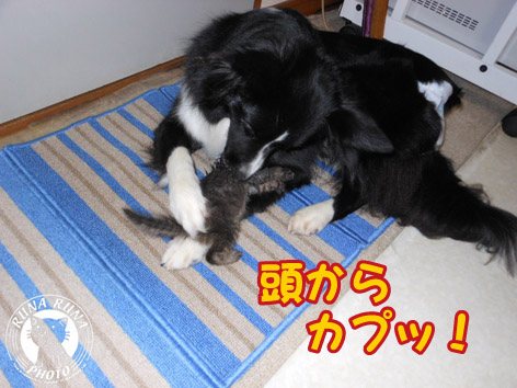 f0210380_16561276.jpg