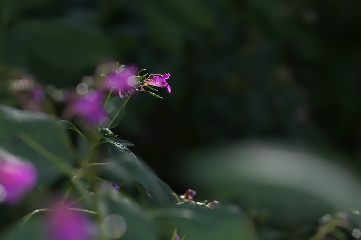a0083081_172553.jpg