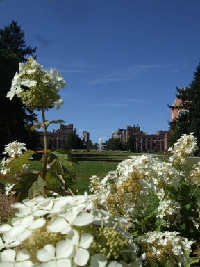 f0039281_1845587.jpg