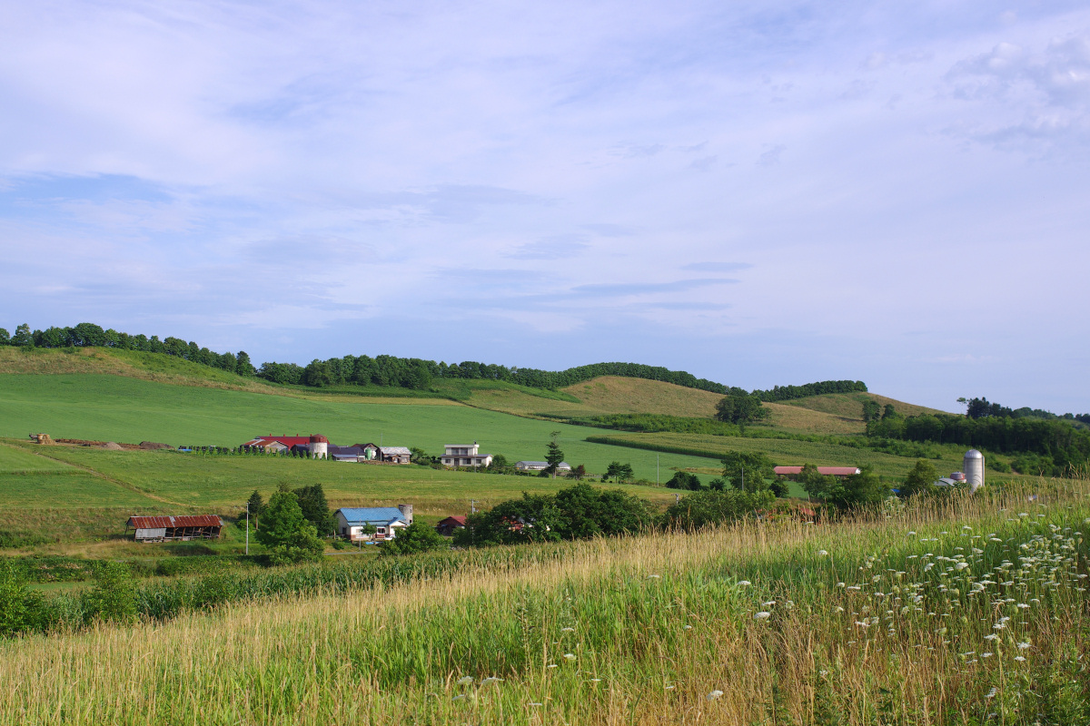 e0051186_2041352.jpg