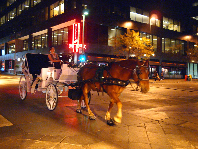 c0221993_15374710.jpg