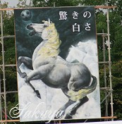e0122194_1158273.jpg