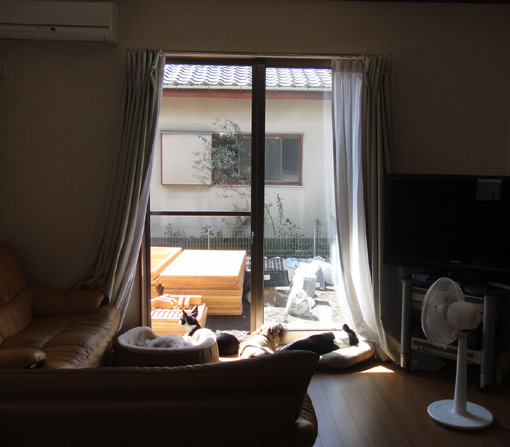 c0094999_18551865.jpg