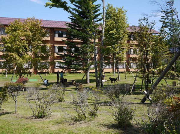 c0050400_13284924.jpg