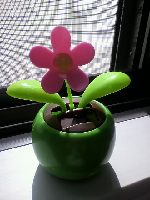 c0123400_15402481.jpg