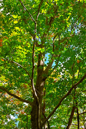 a0201204_13435459.jpg
