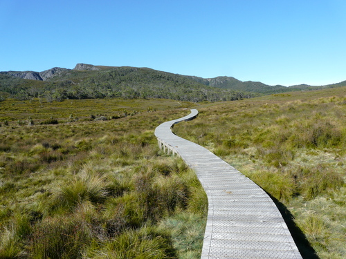 e0238313_1982093.jpg