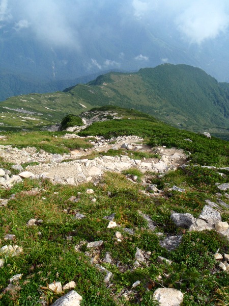 c0177814_20552679.jpg