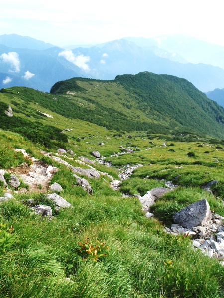 c0177814_20563670.jpg