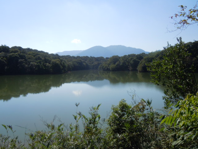 f0164515_23115826.jpg