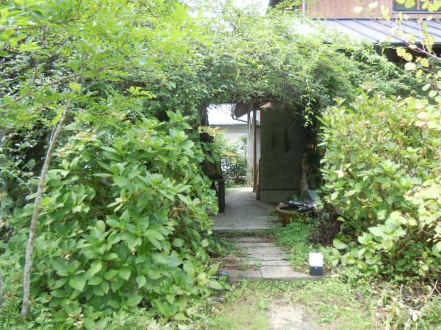 f0164515_23284111.jpg