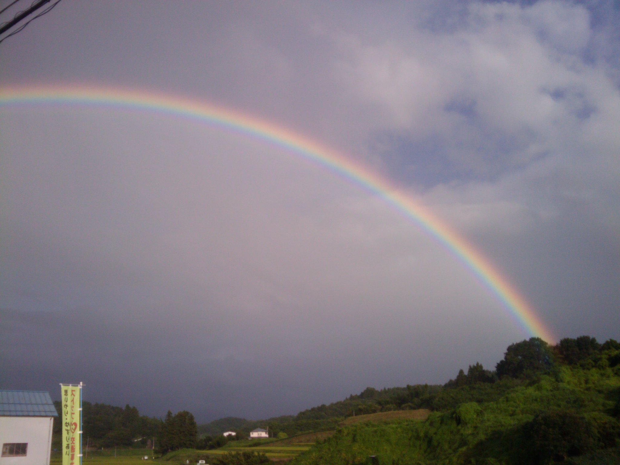 d0119217_224831.jpg