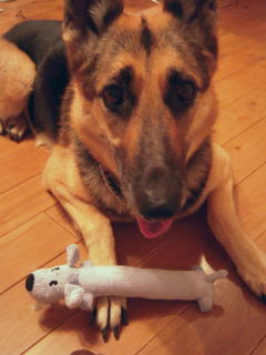 c0090220_1755960.jpg