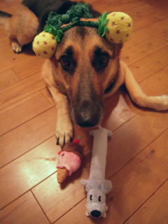 c0090220_175679.jpg