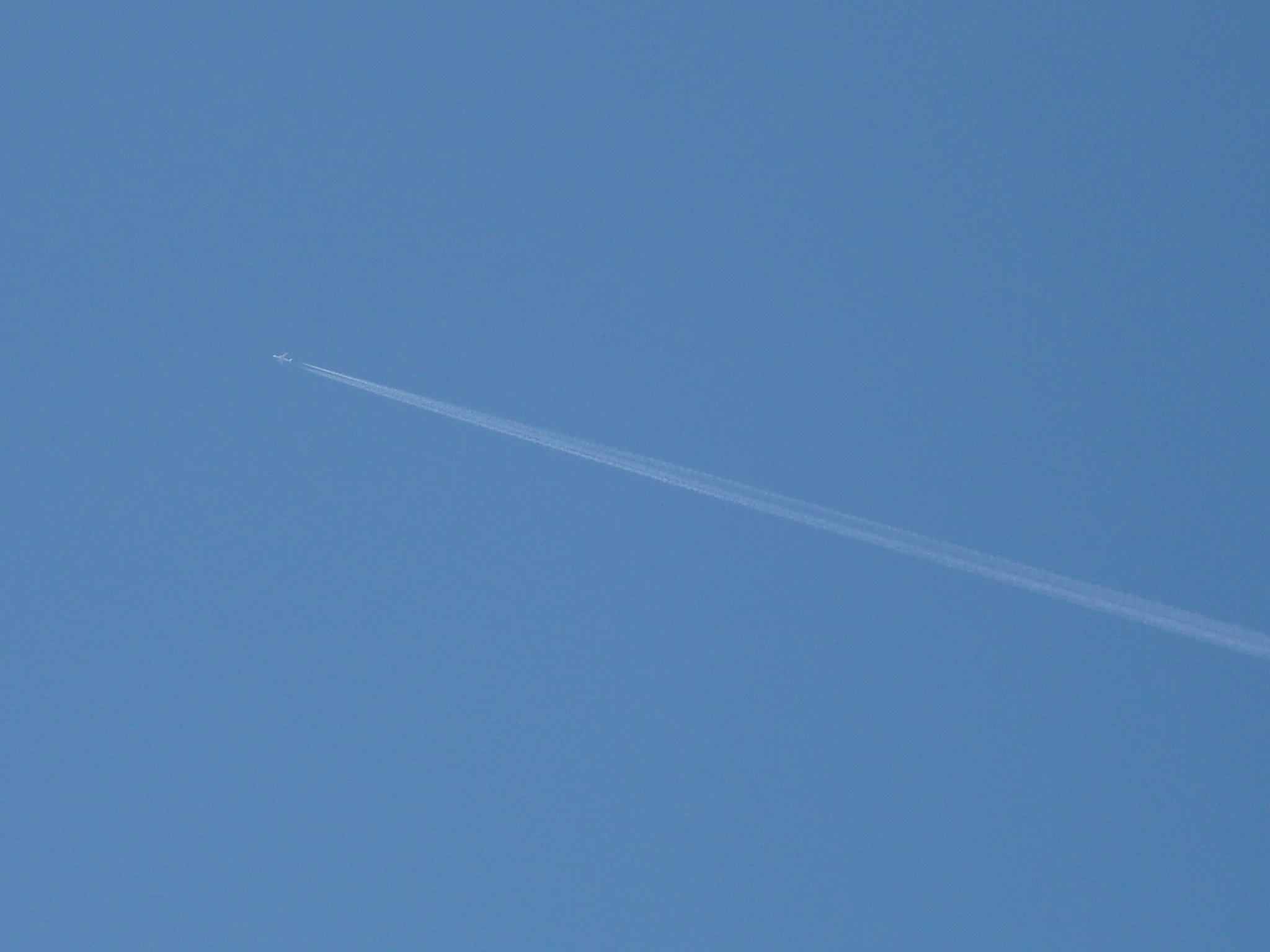 d0153122_9424799.jpg