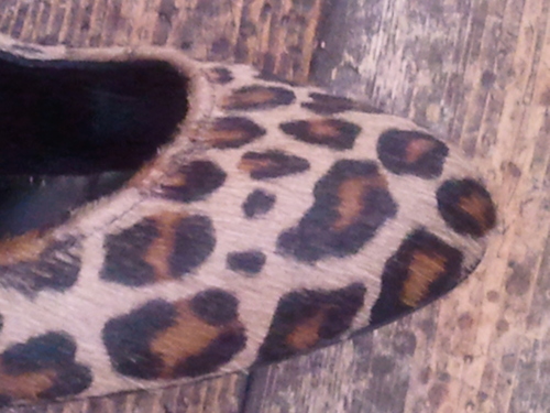 c0134124_220712.jpg